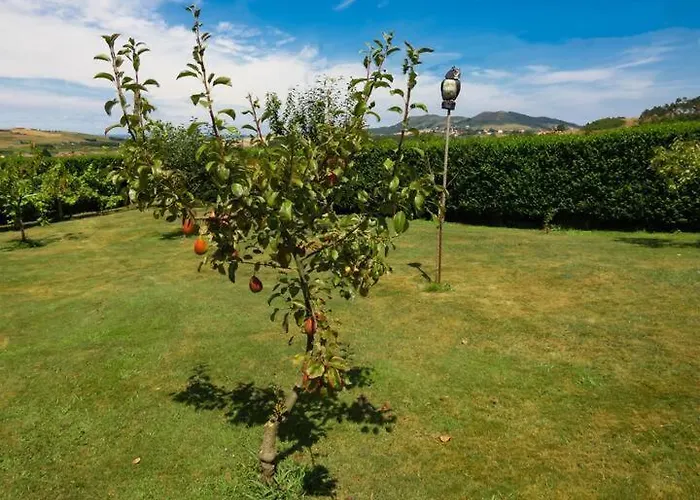 Ruben Holiday home *