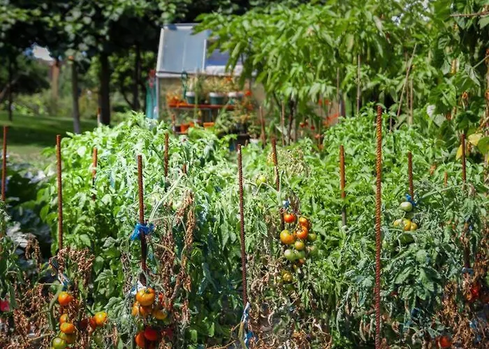 Holiday home Ruben Miengo