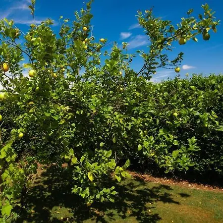 Casa vacanze Rubén *