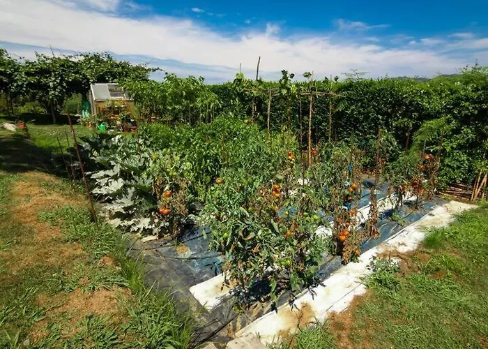 Ruben Ferienhaus Miengo